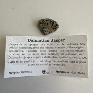 Dalmatian Jasper Medium Tumble