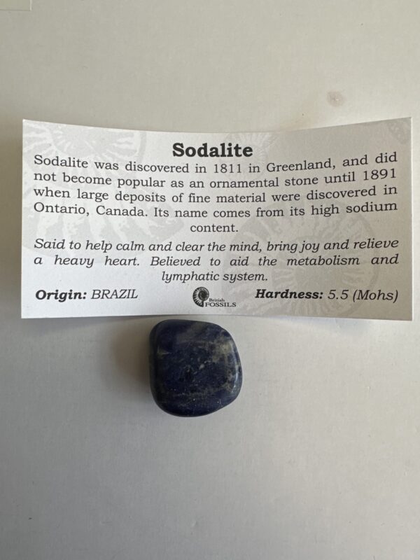 Sodalite Medium Tumble