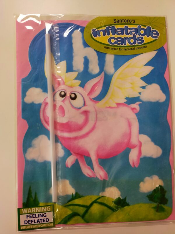 Santoro's Inflatable Cards Pk of 5 - Image 3