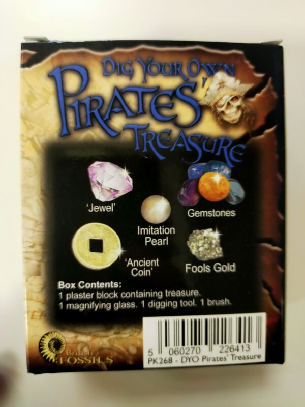 Dig your own Pirates Treasure - Image 2