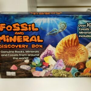 Fossils and Minerals Discovery Box