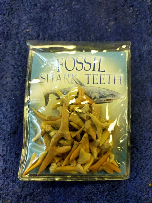Fossil Shark Teeth Bag