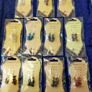 Nature's Gifts Dangly Earrings