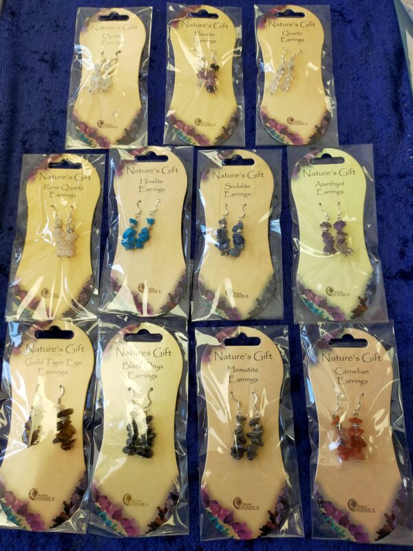 Nature's Gifts Dangly Earrings